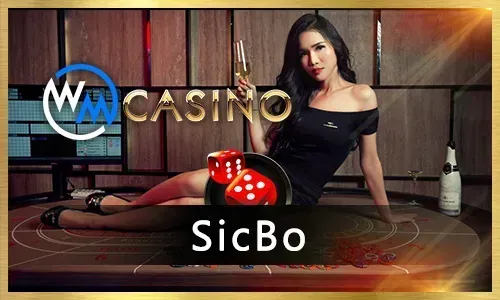 Poker Tournaments